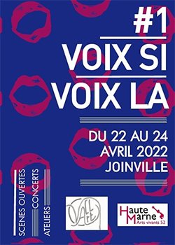 Voix si voix la