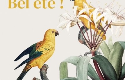 Bel été à toutes et à tous ! Bel été à toutes et à tous !