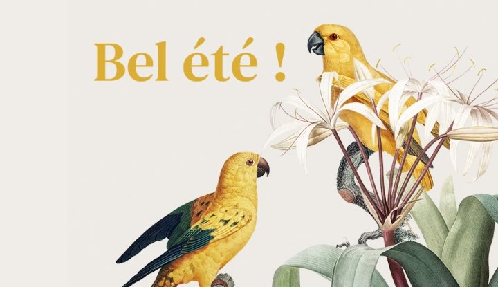image pour Bel été à toutes et à tous !