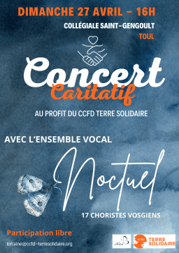 Noctuel