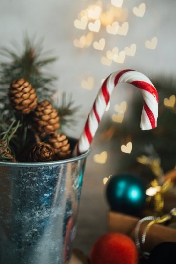 Photo de <a href="https://unsplash.com/fr/@fu_psi?utm_source=unsplash&utm_medium=referral&utm_content=creditCopyText">Hanna Balan</a> sur <a href="https://unsplash.com/fr/photos/canne-de-bonbon-rouge-et-blanc-sur-seau-en-acier-bleu-L-3fERo06xM?utm_source=unsplash&utm_medium=referral&utm_content=creditCopyText">Unsplash</a>